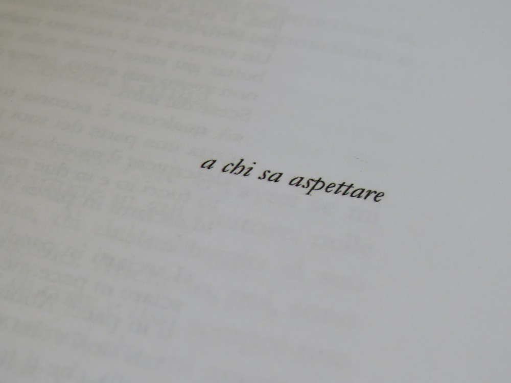 I_03_55.jpg